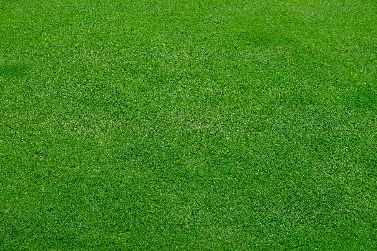 lawn, meadow, grass, green, nature, spring, stalks, cut the lawn, mow, lawn mower, english lawn, texture